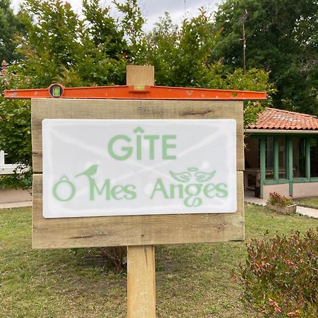 Villa 8 Personnes O Mes Anges Saint-Julien-en-Born Eksteriør billede